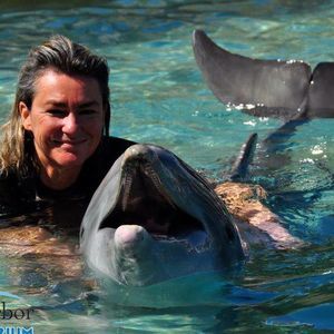 Meet your Posher, Noelle